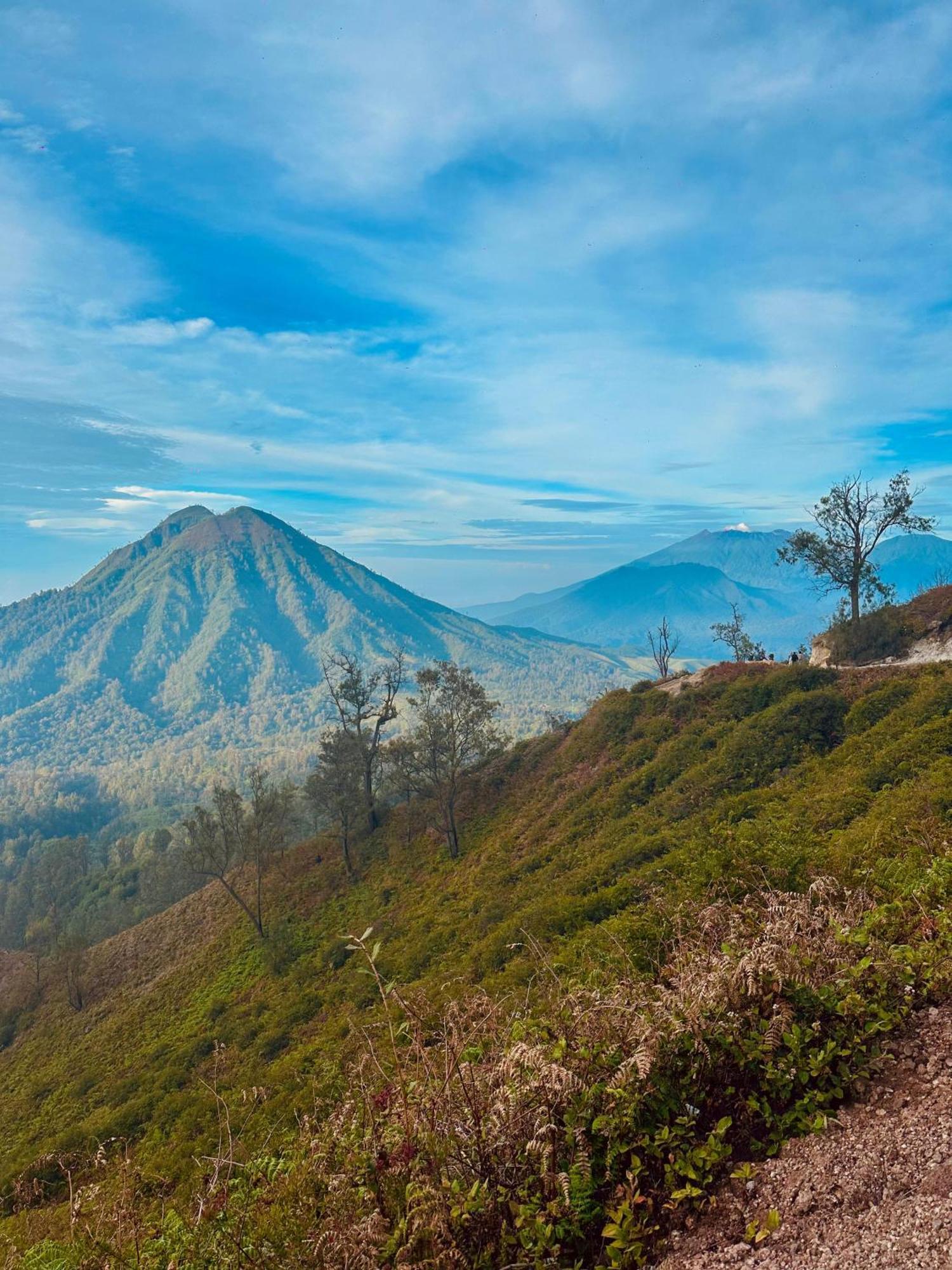 Ijen Backpacker Hostel Banyuwangi  Exterior photo